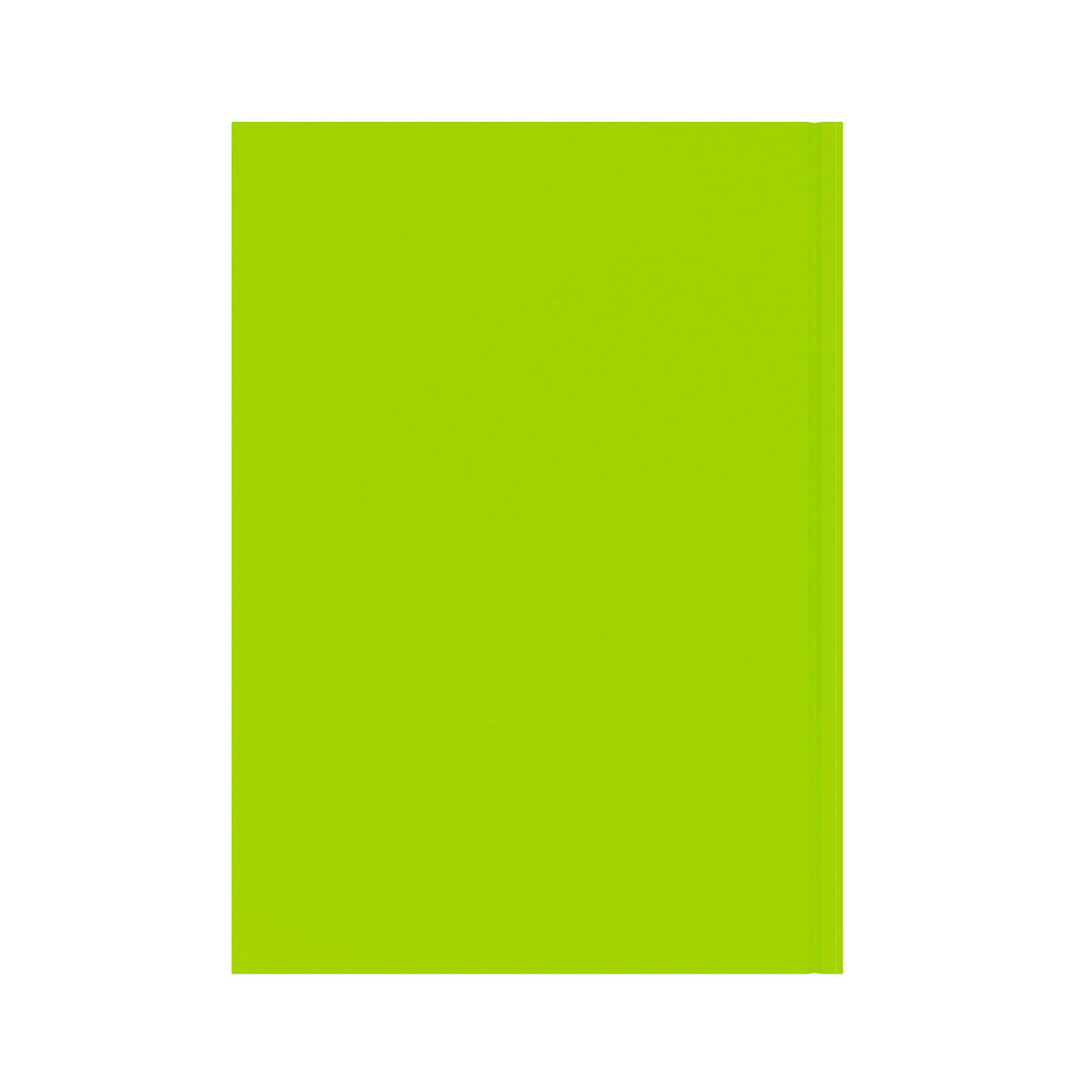 Essential - A4 Day-to-Page Diary - 2026 Calendar Year Planner