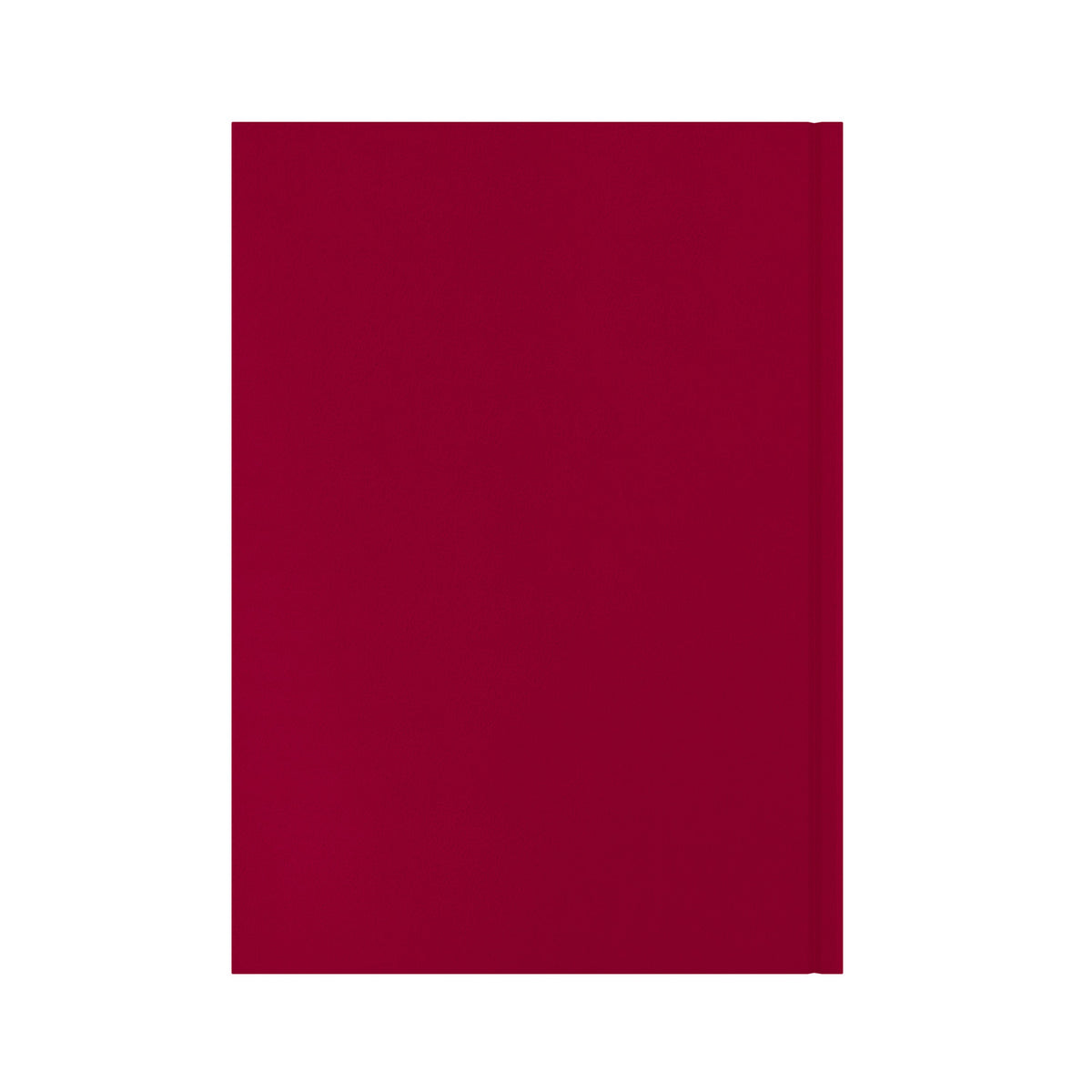 Essential - A4 Day-to-Page Diary - 2026 Calendar Year Planner