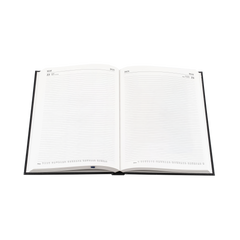 Essential - A4 Day-to-Page Diary- 2025 Calendar Year Planner