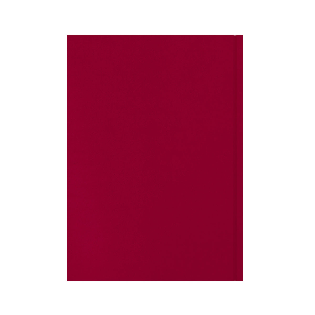 Essential - A4 Day-to-Page Diary with Appointments - 2026 Calendar Year Planner