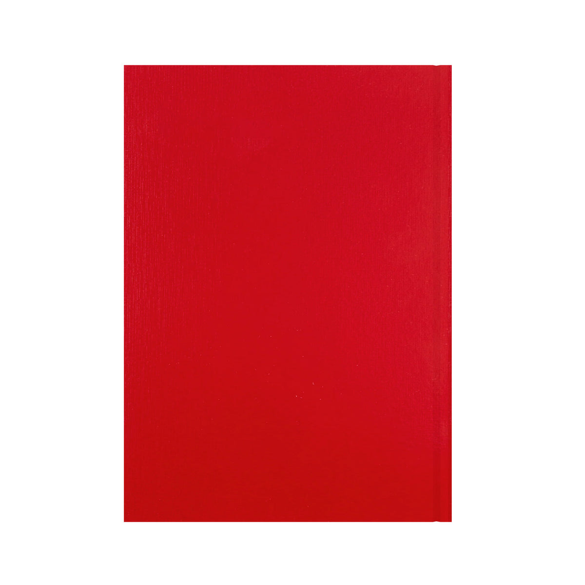 Essentials - A4 Day-to-Page with Appointments Mid/Academic Year Diary Planner 2025-2026