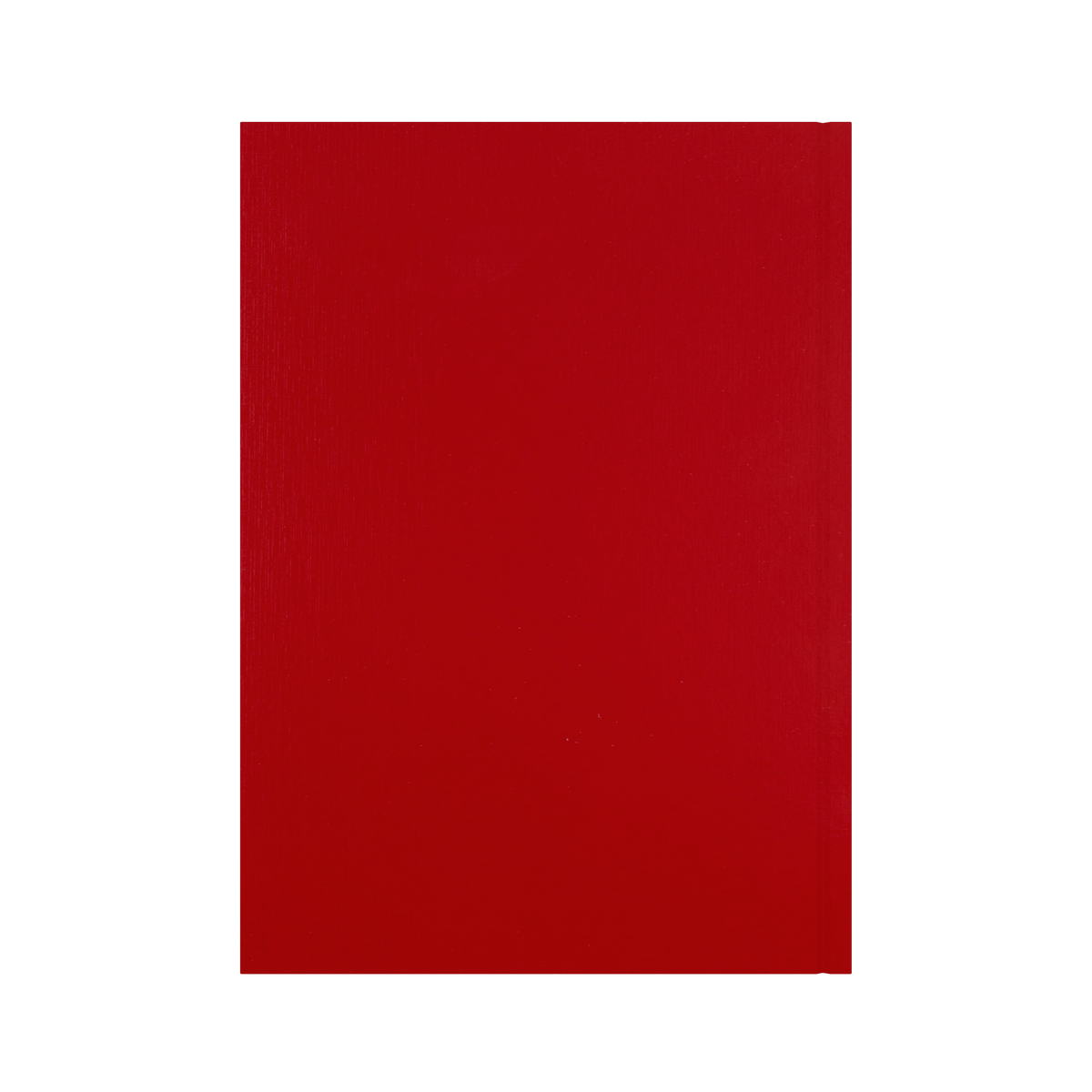 2026-2027 - Mid/Academic Year Planner with Appointments - 13 Month A4 Day-to-Page Diary - Collins Debden Essential Range