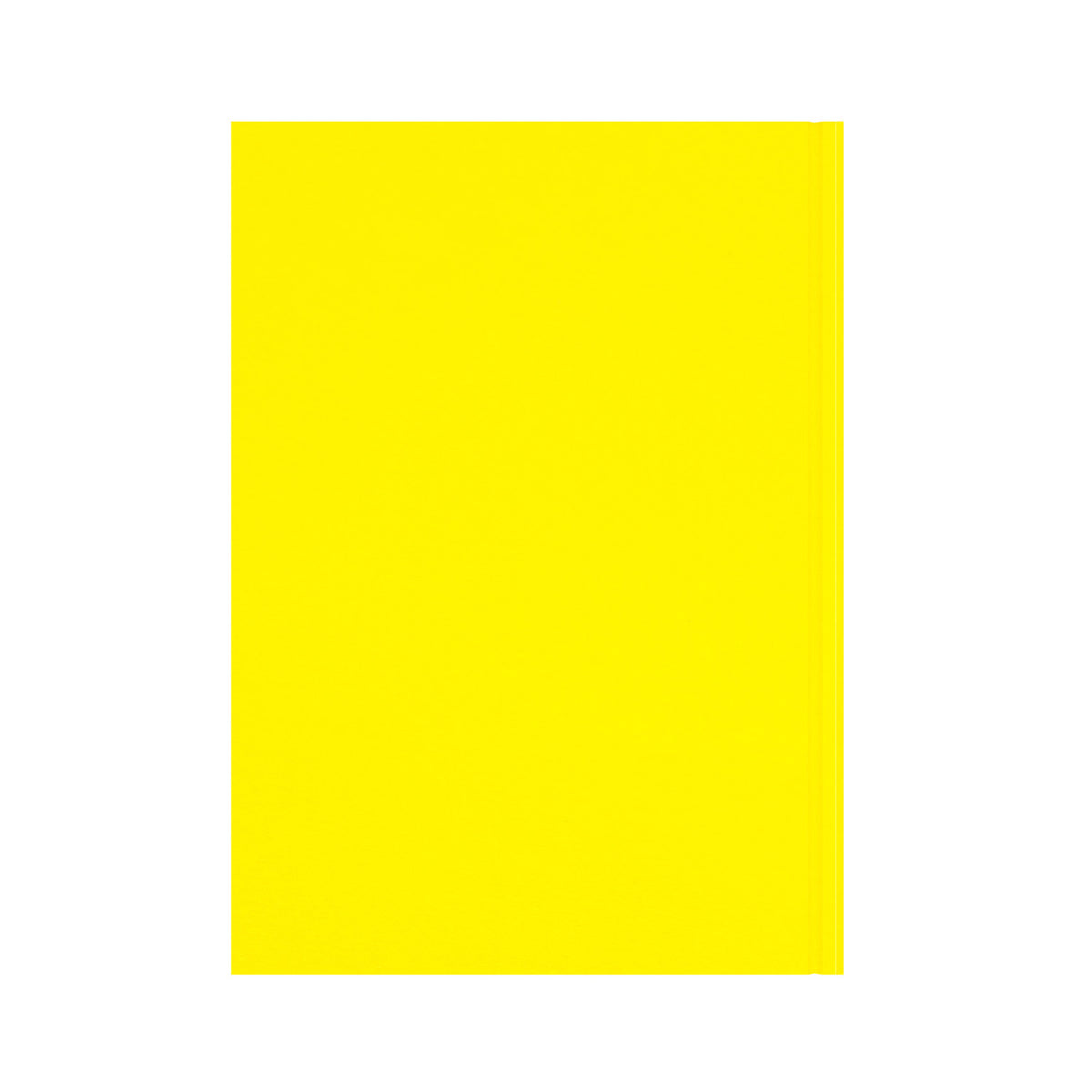 Essentials - A4 Day-to-Page with Appointments Mid/Academic Year Diary Planner 2025-2026