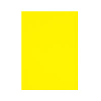 Essentials - A4 Day-to-Page with Appointments Mid/Academic Year Diary Planner 2025-2026