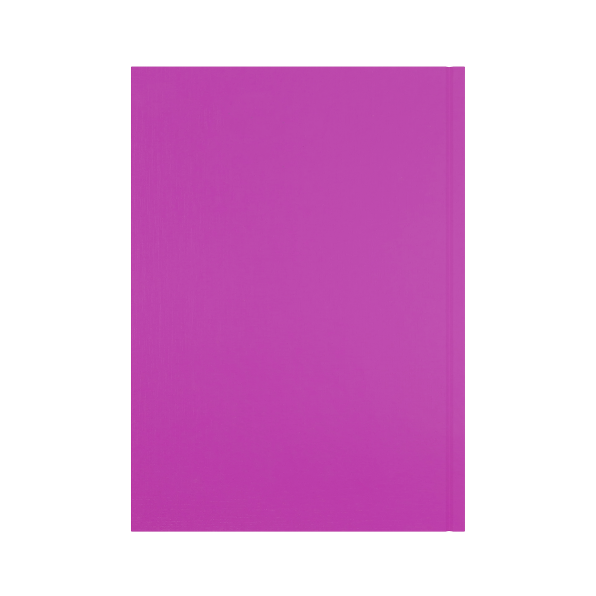 2026-2027 - Mid/Academic Year Planner with Appointments - 13 Month A4 Day-to-Page Diary - Collins Debden Essential Range