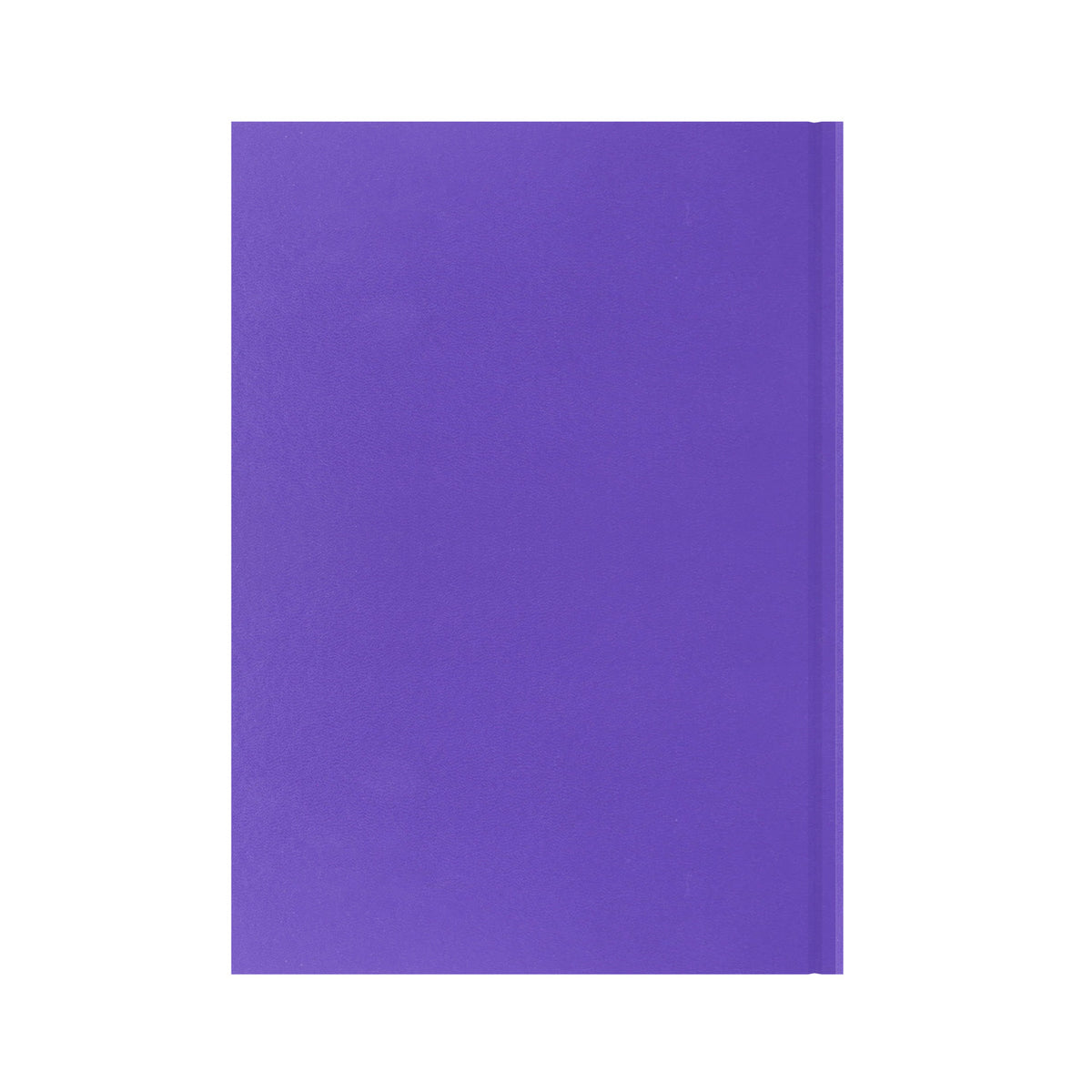 Essentials - A4 Day-to-Page with Appointments Mid/Academic Year Diary Planner 2025-2026