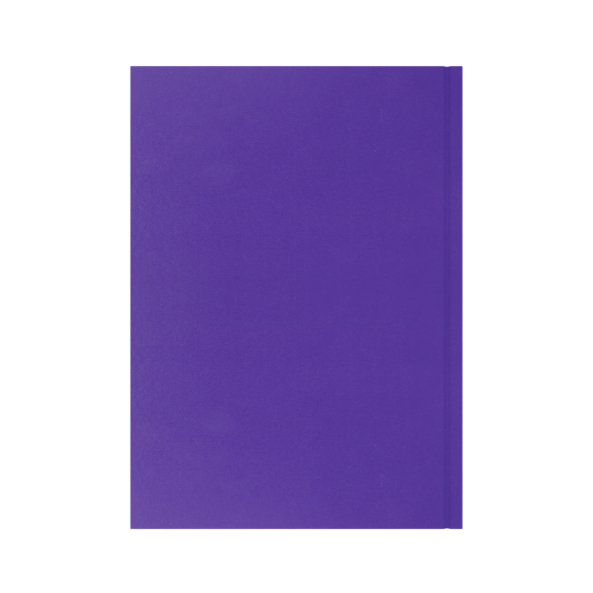 2026-2027 - Mid/Academic Year Planner with Appointments - 13 Month A4 Day-to-Page Diary - Collins Debden Essential Range