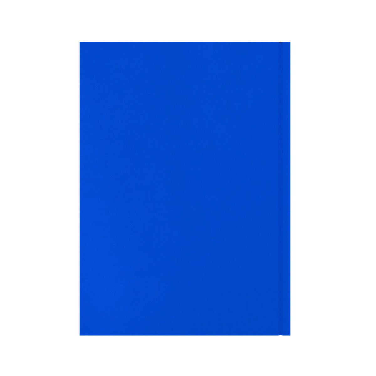 Essentials - A4 Day-to-Page with Appointments Mid/Academic Year Diary Planner 2025-2026