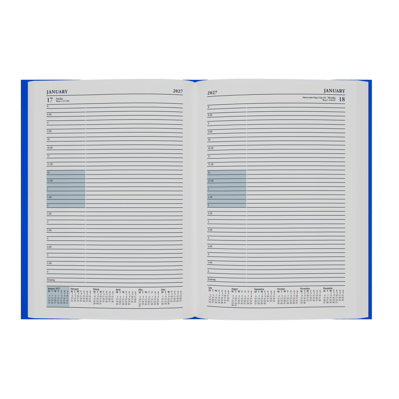 2026-2027 - Mid/Academic Year Planner with Appointments - 13 Month A4 Day-to-Page Diary - Collins Debden Essential Range