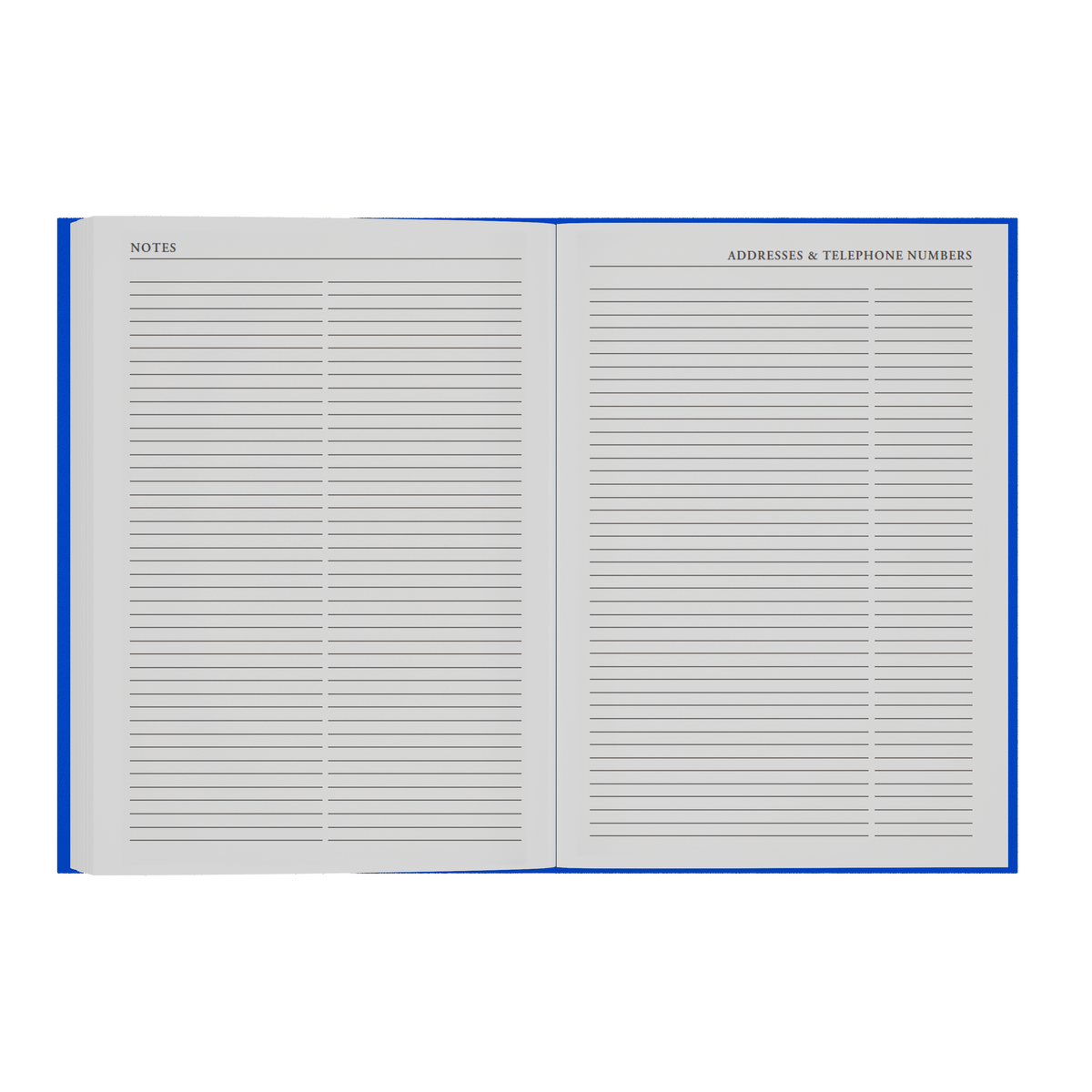 2026-2027 - Mid/Academic Year Planner with Appointments - 13 Month A4 Day-to-Page Diary - Collins Debden Essential Range