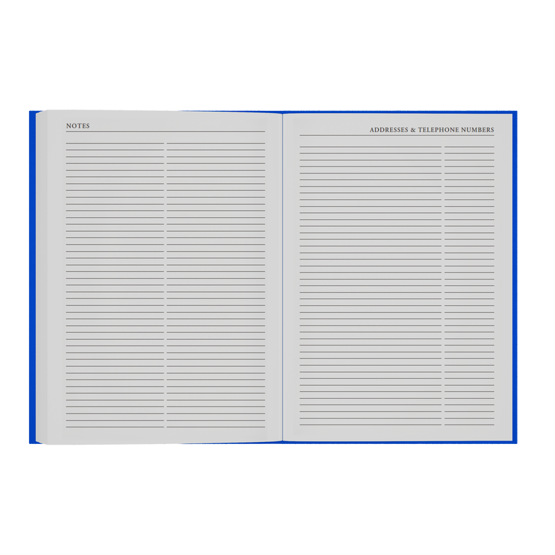 2026-2027 - Mid/Academic Year Planner with Appointments - 13 Month A4 Day-to-Page Diary - Collins Debden Essential Range