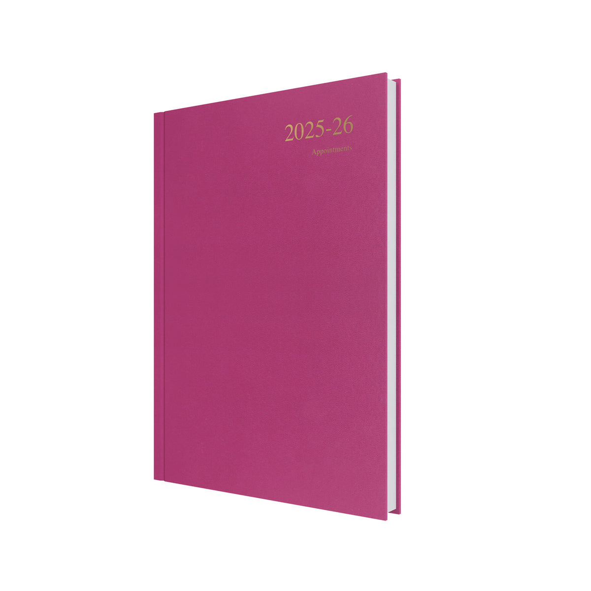 Essentials - A4 Day-to-Page with Appointments Mid/Academic Year Diary Planner 2025-2026