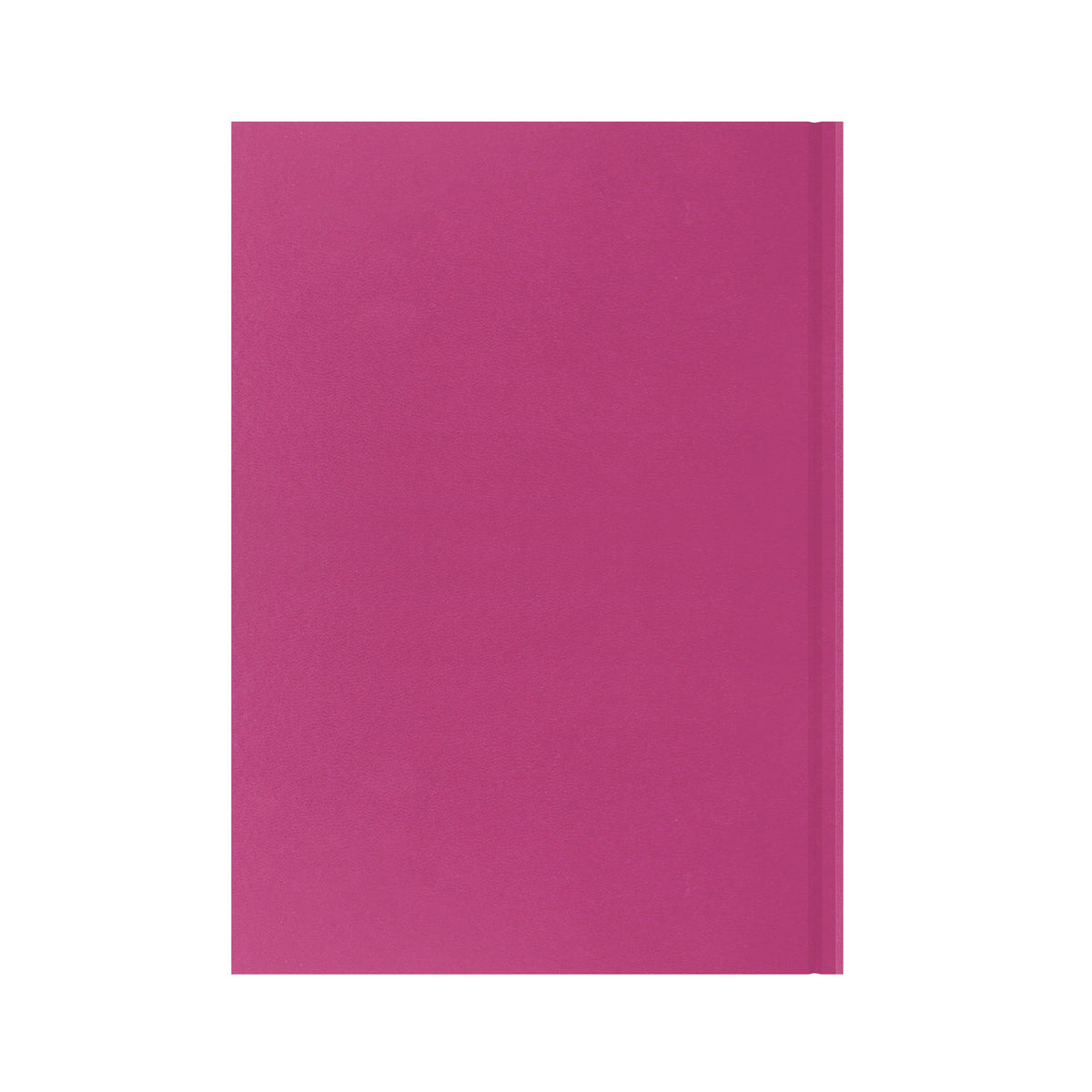 Essentials - A4 Day-to-Page with Appointments Mid/Academic Year Diary Planner 2025-2026