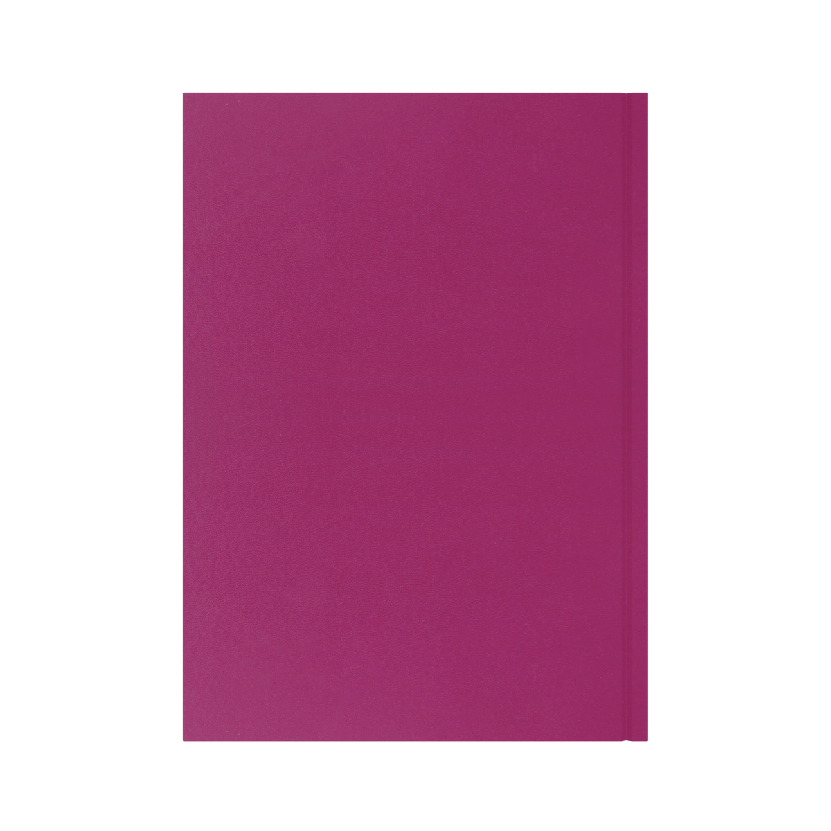 2026-2027 - Mid/Academic Year Planner with Appointments - 13 Month A4 Day-to-Page Diary - Collins Debden Essential Range