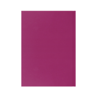 2026-2027 - Mid/Academic Year Planner with Appointments - 13 Month A4 Day-to-Page Diary - Collins Debden Essential Range