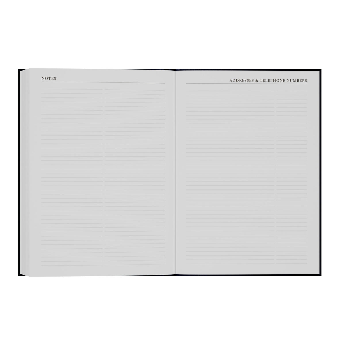 Essentials - A4 Day-to-Page with Appointments Mid/Academic Year Diary Planner 2025-2026