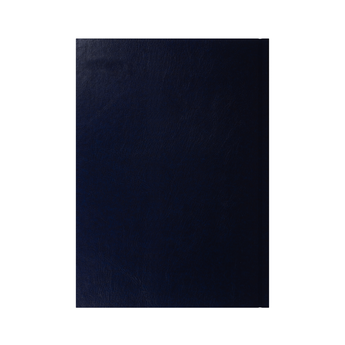 2026-2027 - Mid/Academic Year Planner with Appointments - 13 Month A4 Day-to-Page Diary - Collins Debden Essential Range