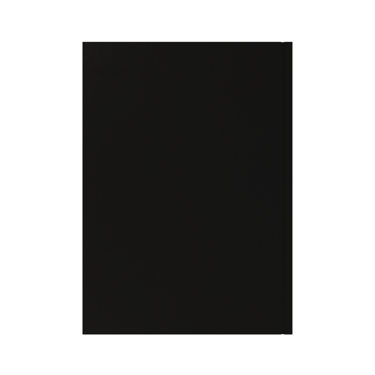 2026-2027 - Mid/Academic Year Planner with Appointments - 13 Month A4 Day-to-Page Diary - Collins Debden Essential Range