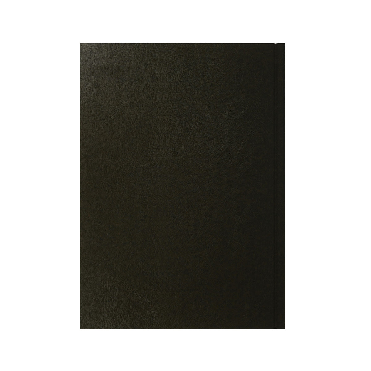 Essential - A4 Week-to-View Diary - 2026 Calendar Year Planner