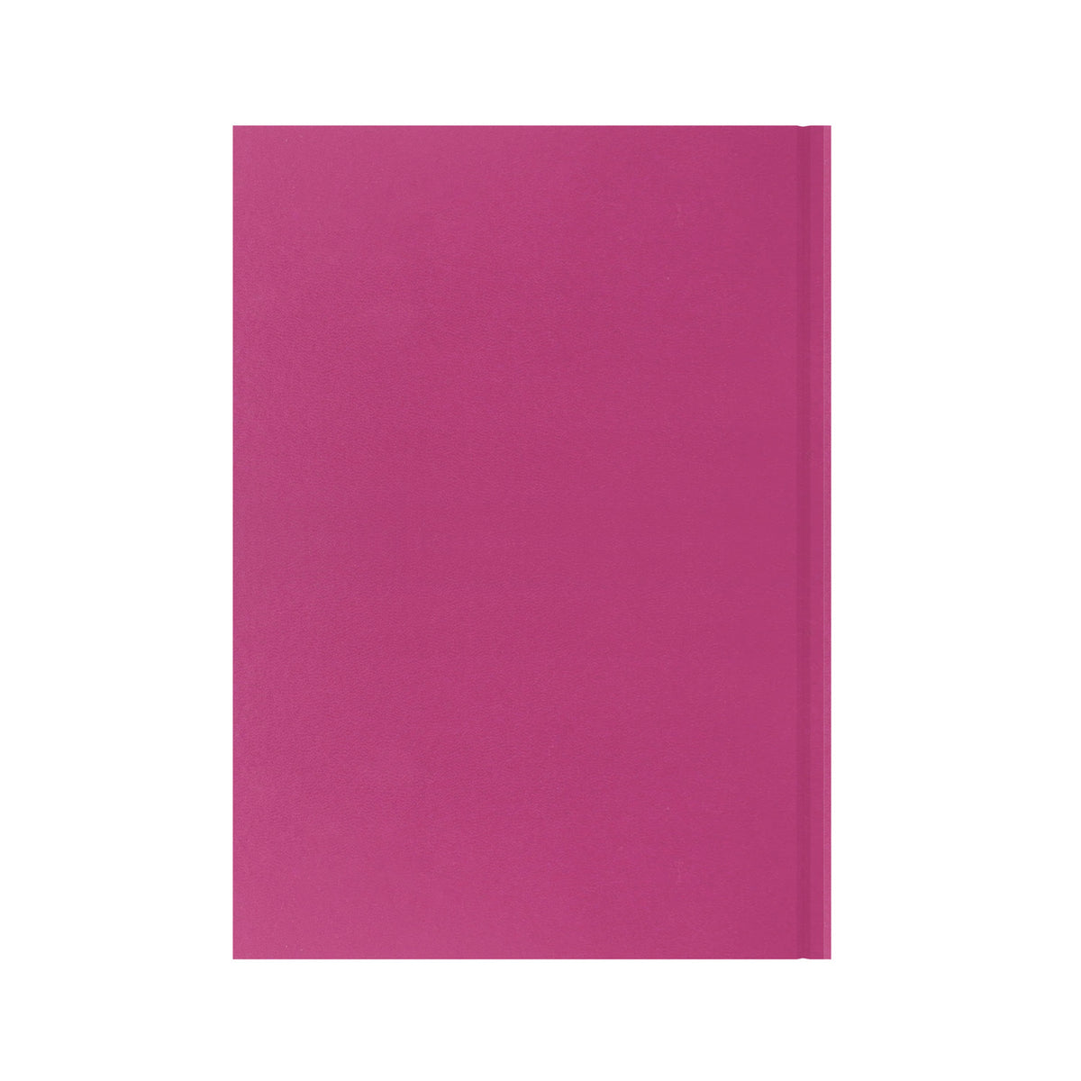 Essentials - A4 Week-to-View with Appointments Mid/Academic Year Diary Planner 2025-2026