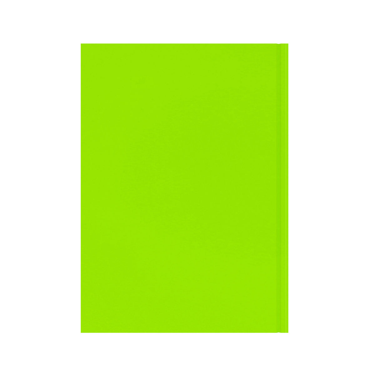 Essentials - A4 Week-to-View with Appointments Mid/Academic Year Diary Planner 2025-2026