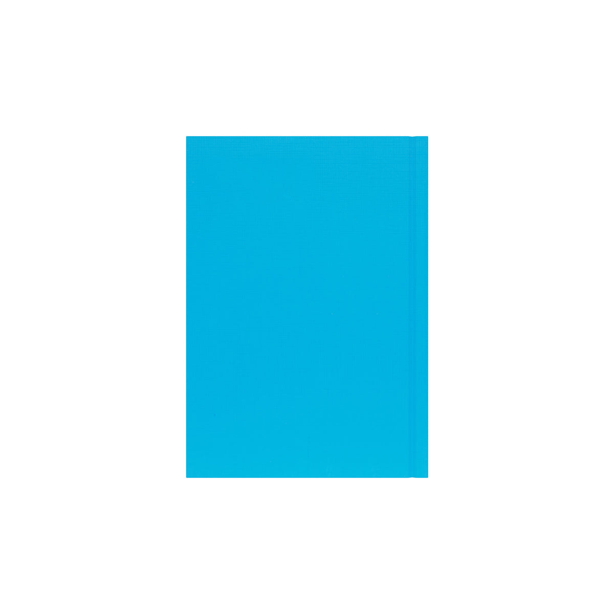 Essential - A5 Day-to-Page Diary - 2026 Calendar Year Planner