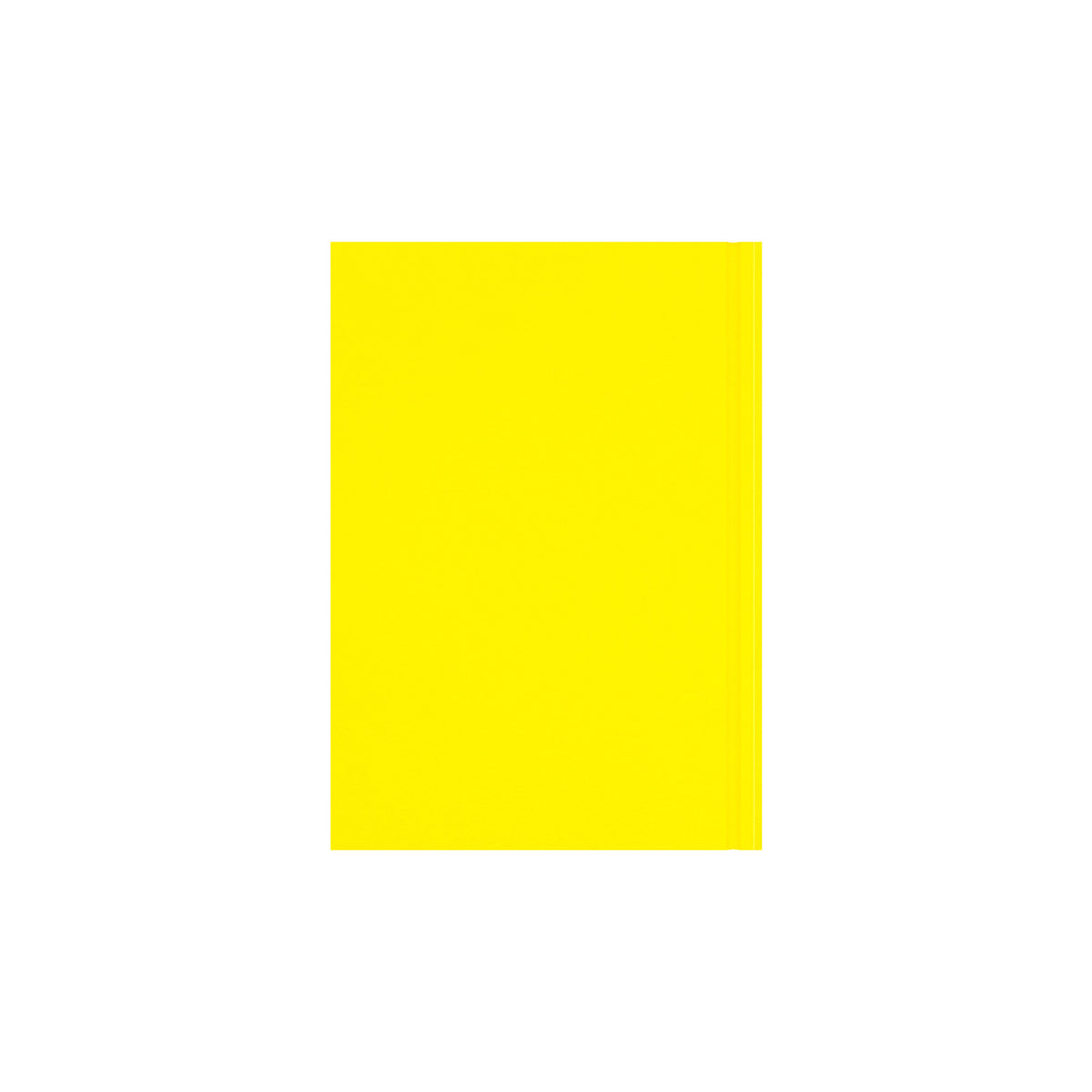 Essentials - A5 Day-to-Page with Appointments Mid/Academic Year Diary Planner, July 2025 - July 2026