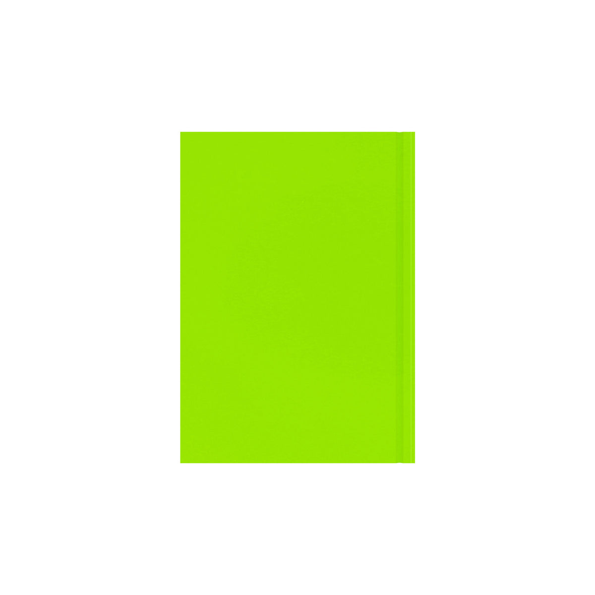 Essentials - A5 Day-to-Page with Appointments Mid/Academic Year Diary Planner, July 2025 - July 2026