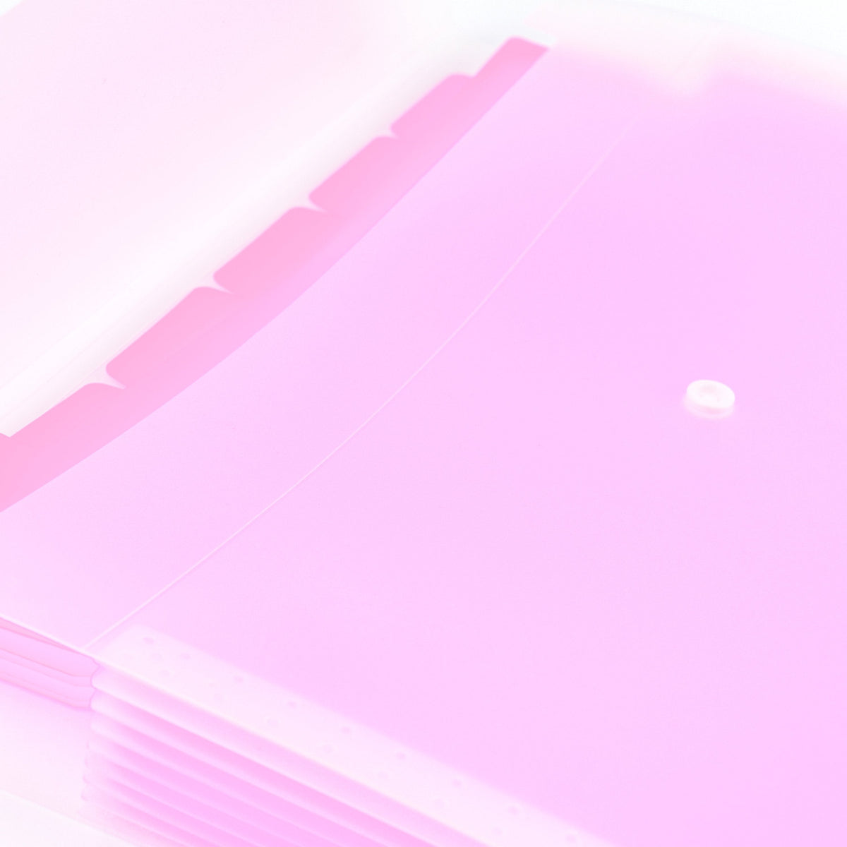 Snuggly A4 Stationery Folder