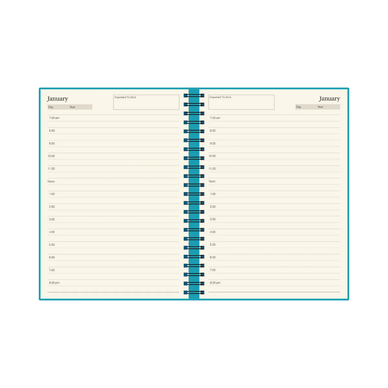 Any Year Diary - A4 Undated Day to a Page