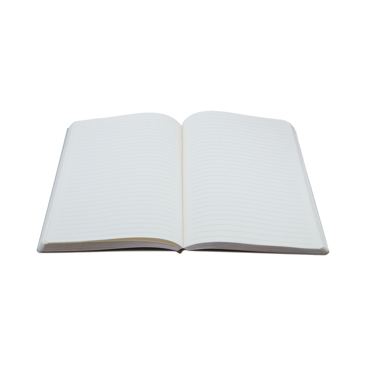 Spectrum A5 Ruled Slim Notebook (SP15SR)