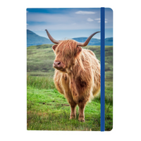 Legacy Notebook A5 - Highland Cow (CL53N-COW)