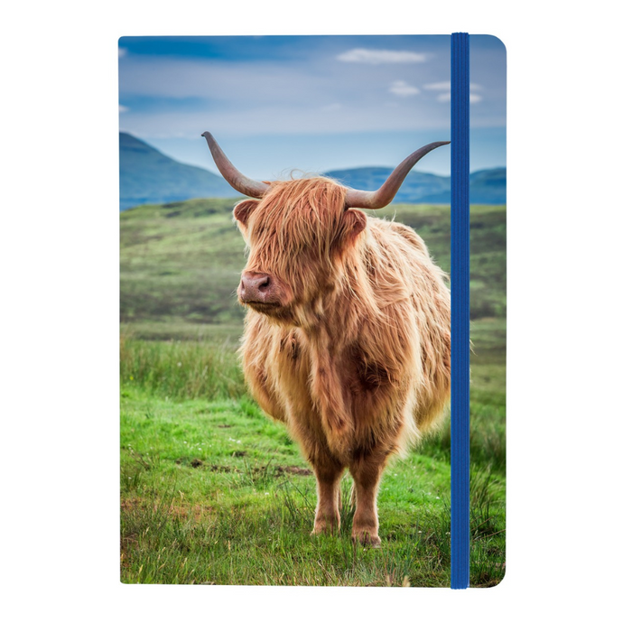 Legacy Notebook A5 - Highland Cow (CL53N-COW)