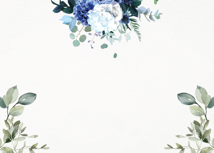Hydrangea- Sample Set