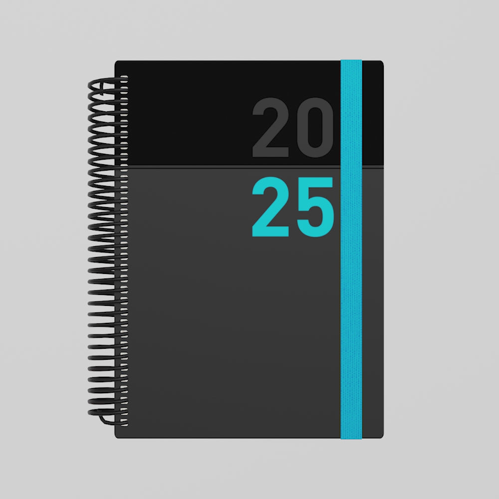 Delta - A5 Day-To-Page Diary - 2025 Calendar Year Planner