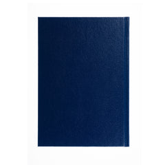 Collins Desk - 2024 A5 Day-to-Page Business Diary with Appointments (A53-24)