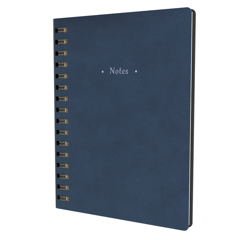 Dante - Notebook A5 Ruled (DT15R) – Collins Debden UK