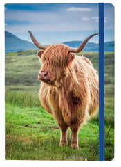 Legacy Notebook A5 - Highland Cow (CL53N-COW)